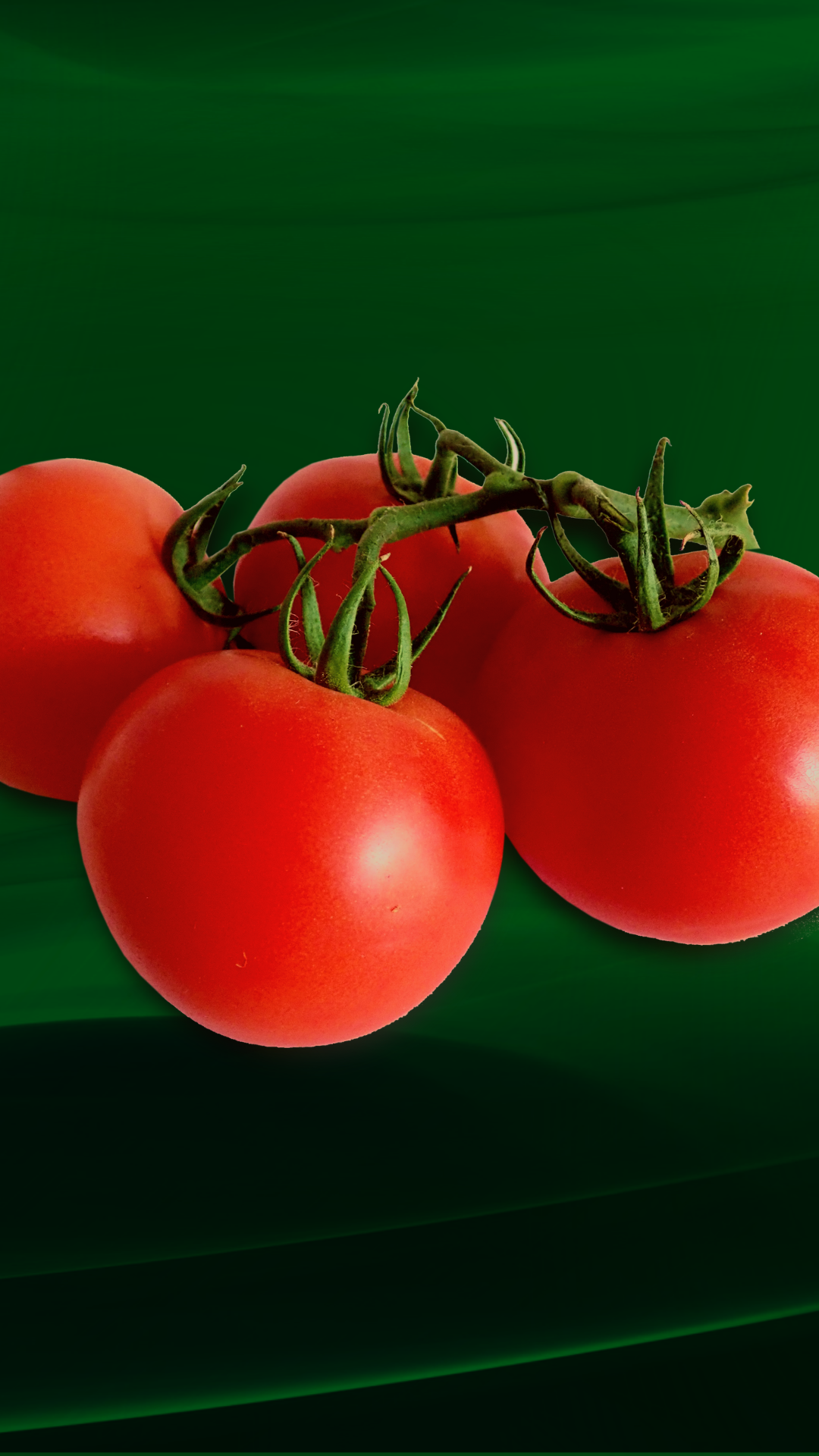 tomate